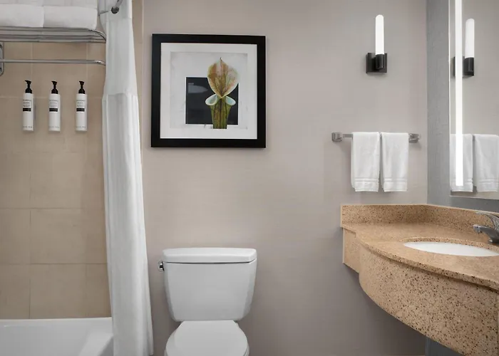 Hotel Hilton Garden 3*